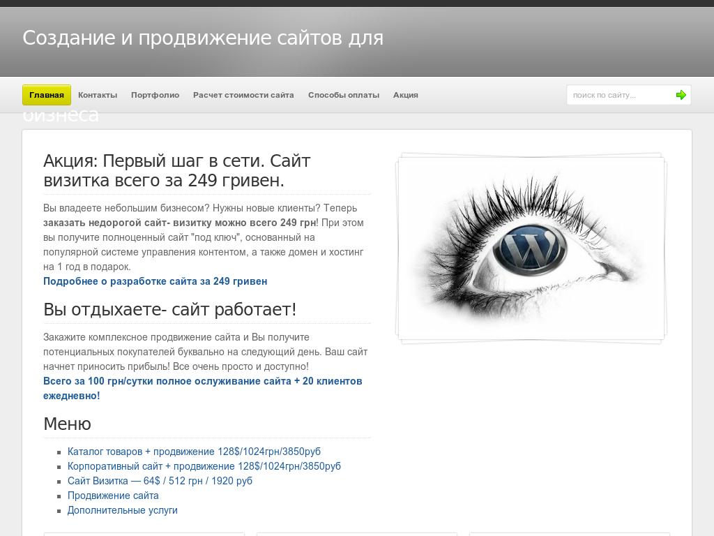 Разработка и продвижение веб сайтов