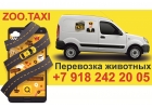 Перевозка животных - зоотакси.