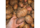 Картофель со со своего участка